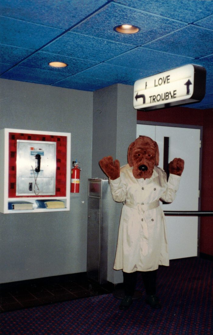 SHELARD c - Copy (2)