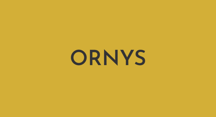 ORNYS-fotor-2024122823154